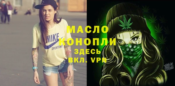крисы Краснослободск